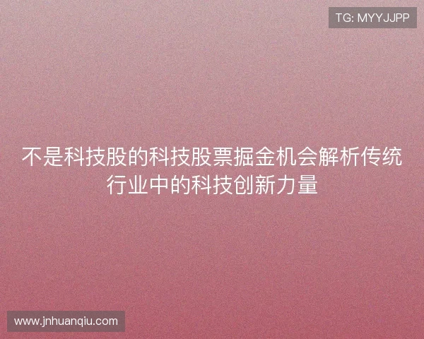 不是科技股的科技股票掘金机会解析传统行业中的科技创新力量